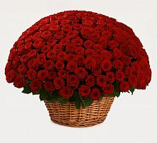 Премиум букет из: Розы #REPLACE_PRED# Ростовановском